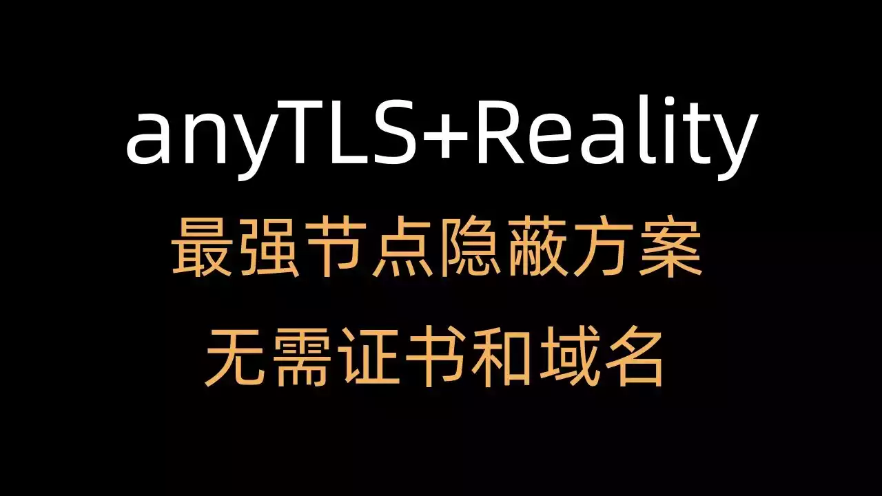 搭建最强伪装AnyReality节点 + 代理协议任意组合实战