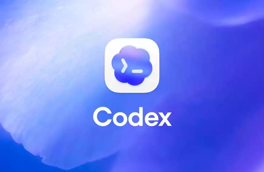 OpenAI Codex 接入本地 AI Agent 开发新范式：Ollama 赋能本地大模型全自动编程