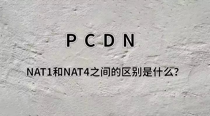 NAT（网络地址转换）的区别和优化方法