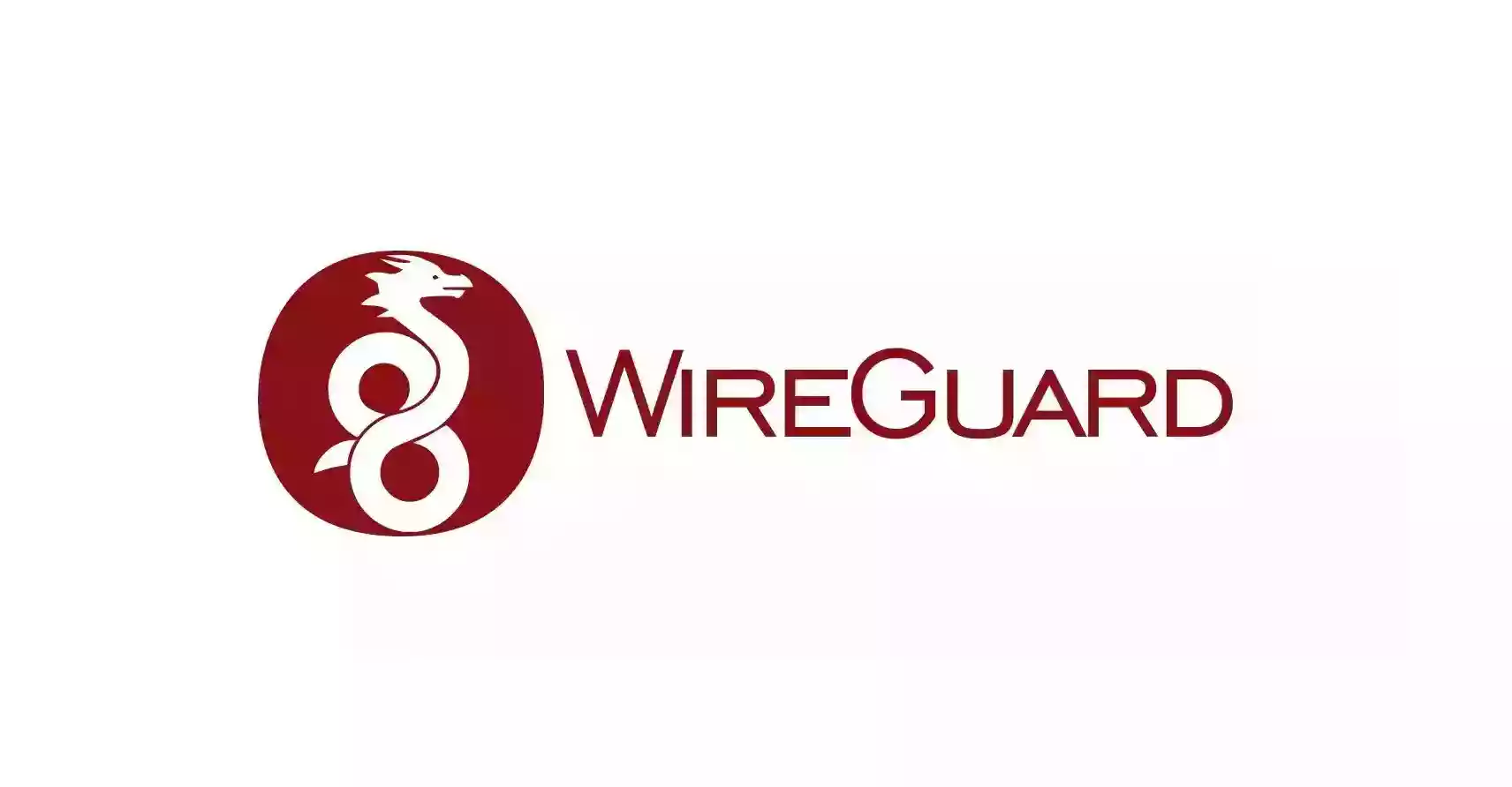 wireguard 对 warp 的配置进行分流